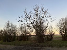 014-09-12-2025 IMG_3131